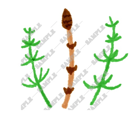 【商用利用OK】雑草素材15点