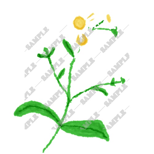 【商用利用OK】雑草素材15点