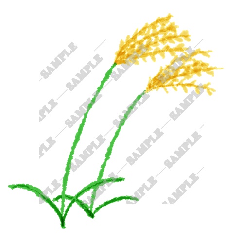 【商用利用OK】雑草素材15点