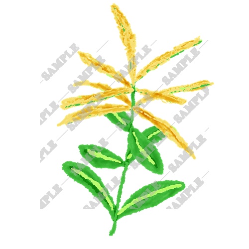 【商用利用OK】雑草素材15点