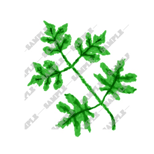 【商用利用OK】雑草素材15点
