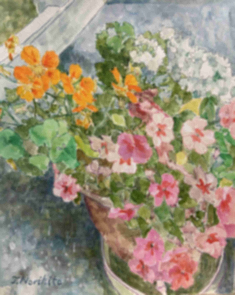 鉢の華