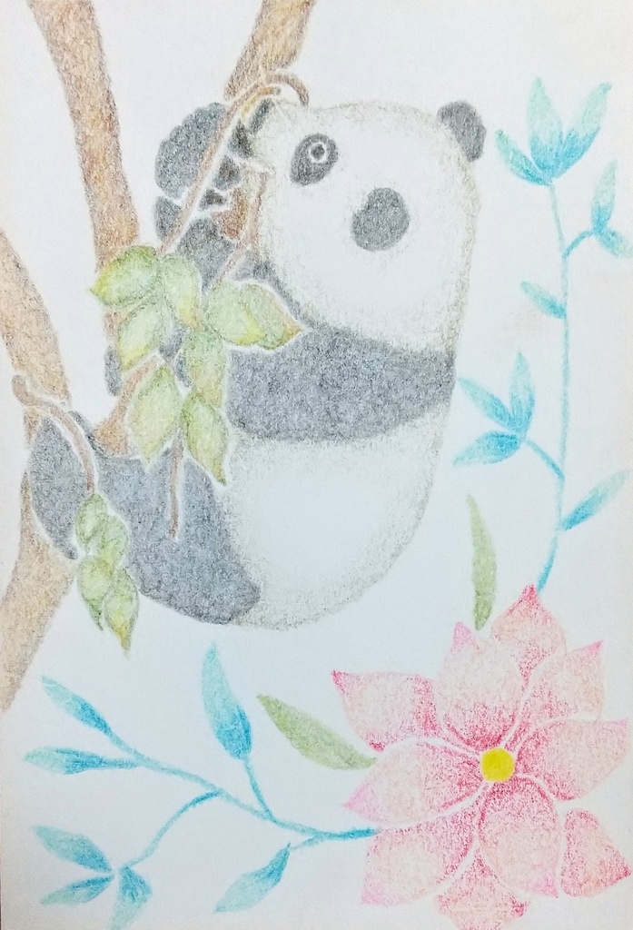 木登りパンダと花のポストカード原画＊油性色鉛筆画 一点物