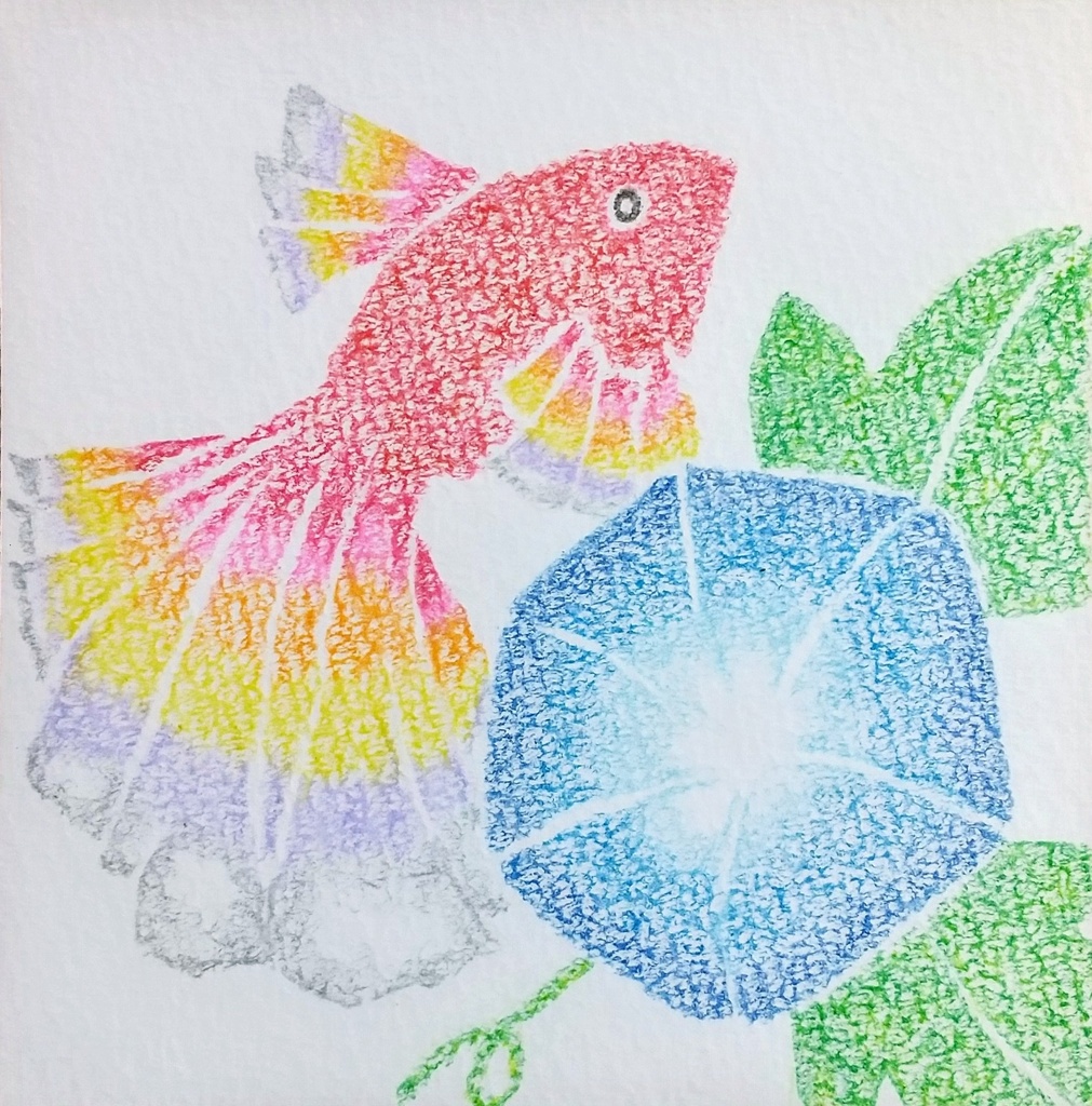 ☆夏のきらめき☆金魚と朝顔の原画ミニアート（色鉛筆画・一点物）