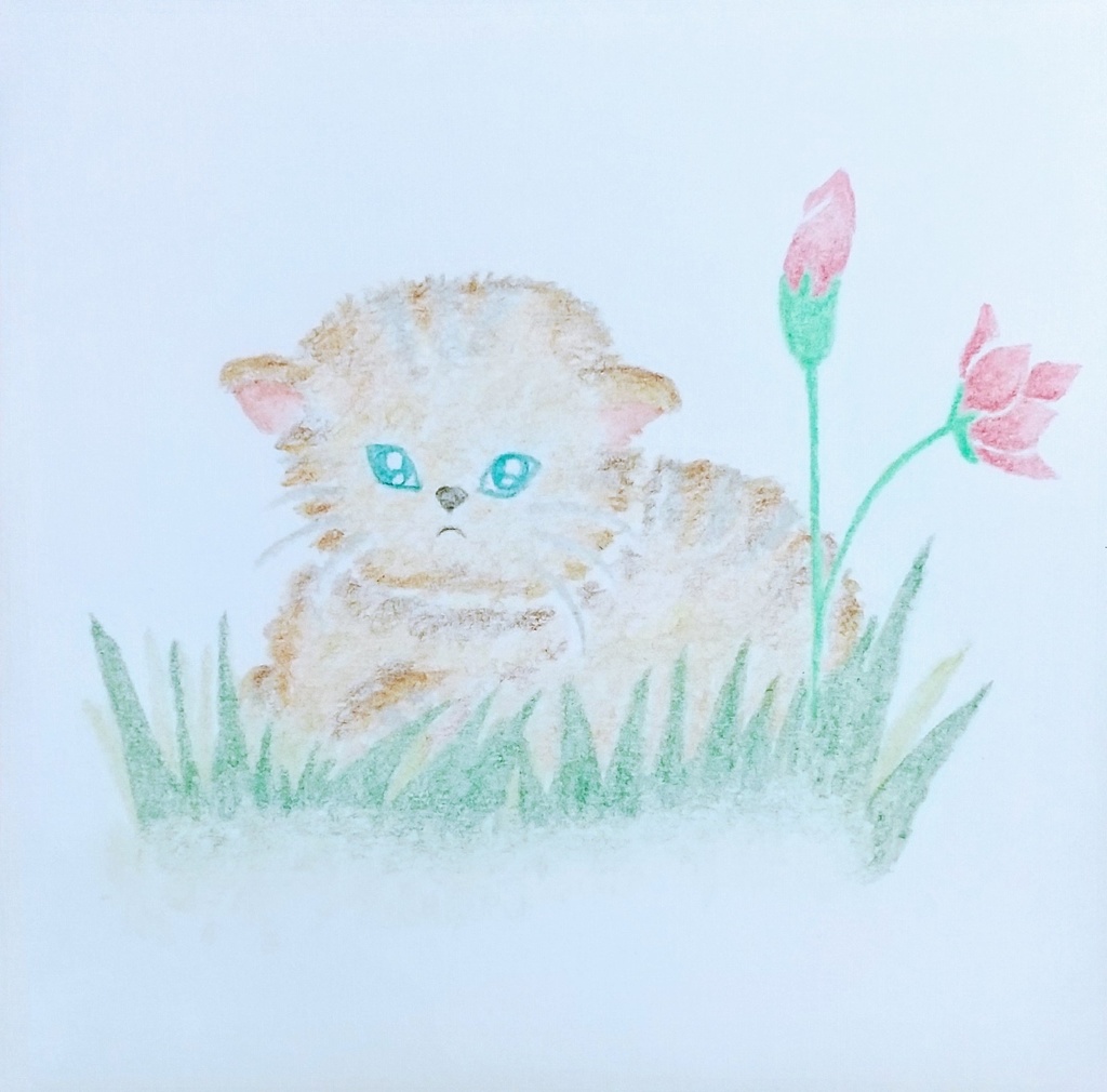 油性色鉛筆画❁小さな子猫と花❁原画ミニアート（一点物・手描きアート）