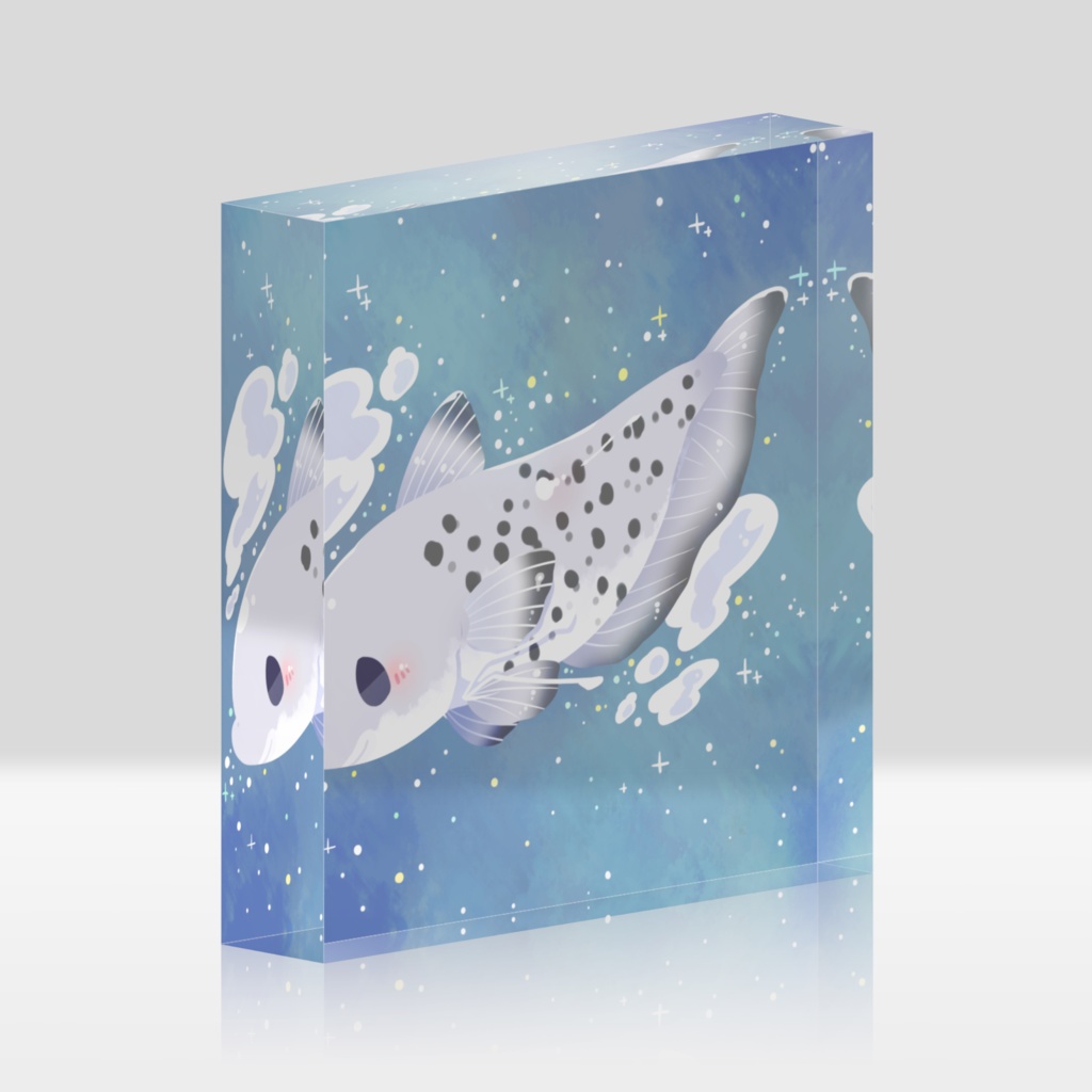 【アクリルブロック】ヒョウモンシャチブリ水槽