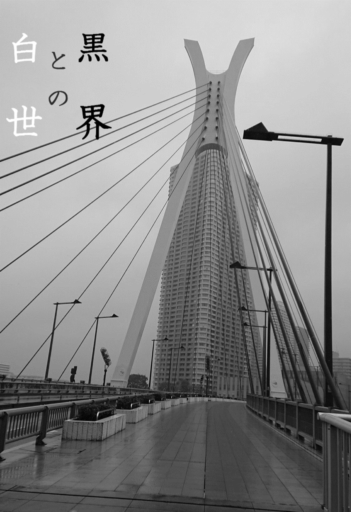 白と黒の世界