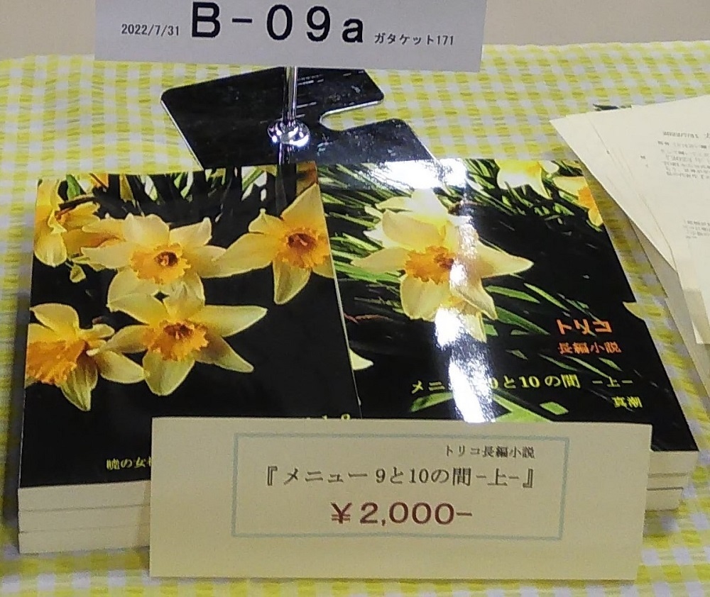 メニュー9と10の間 -上-