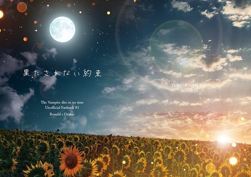 果たされない約束【ロナドラ小説】