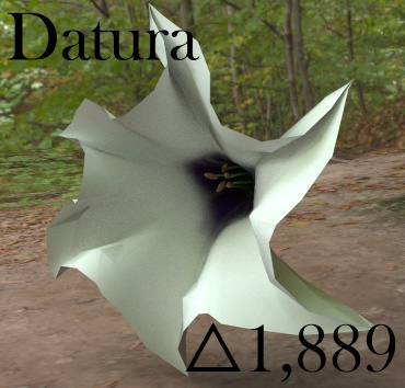 Datura 3Dモデル
