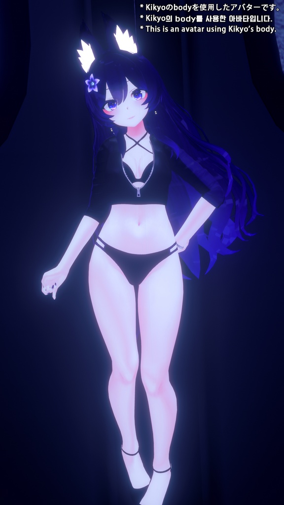 Rashguard Bikini for Kikyo / ラッシュガードビキニ 【桔梗用】 (C10)