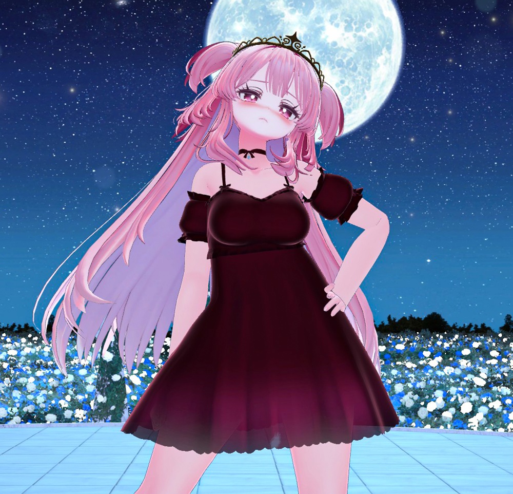 SlipDress & TiaraVeil for Selestia / スリップドレス&ティアラベール【セレスティア用】 (C12)