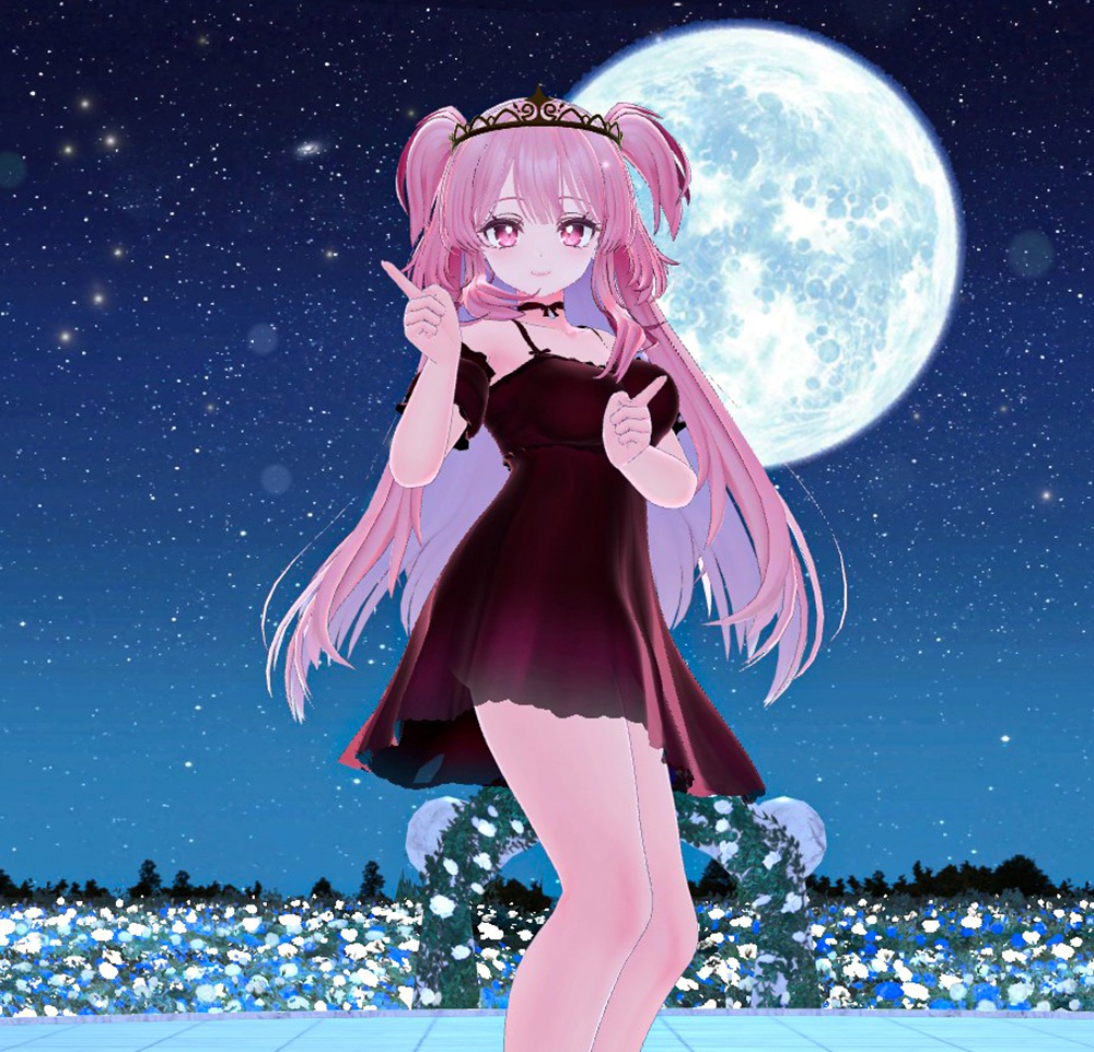 SlipDress & TiaraVeil for Selestia / スリップドレス&ティアラベール【セレスティア用】 (C12)