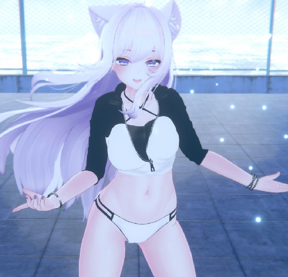 Rashguard Bikini for Moe / ラッシュガードビキニ 【萌用】 (C10)