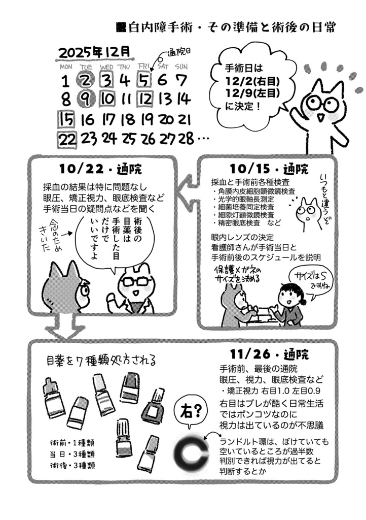 めめめの話〜強度近視と老眼の白内障手術体験記〜