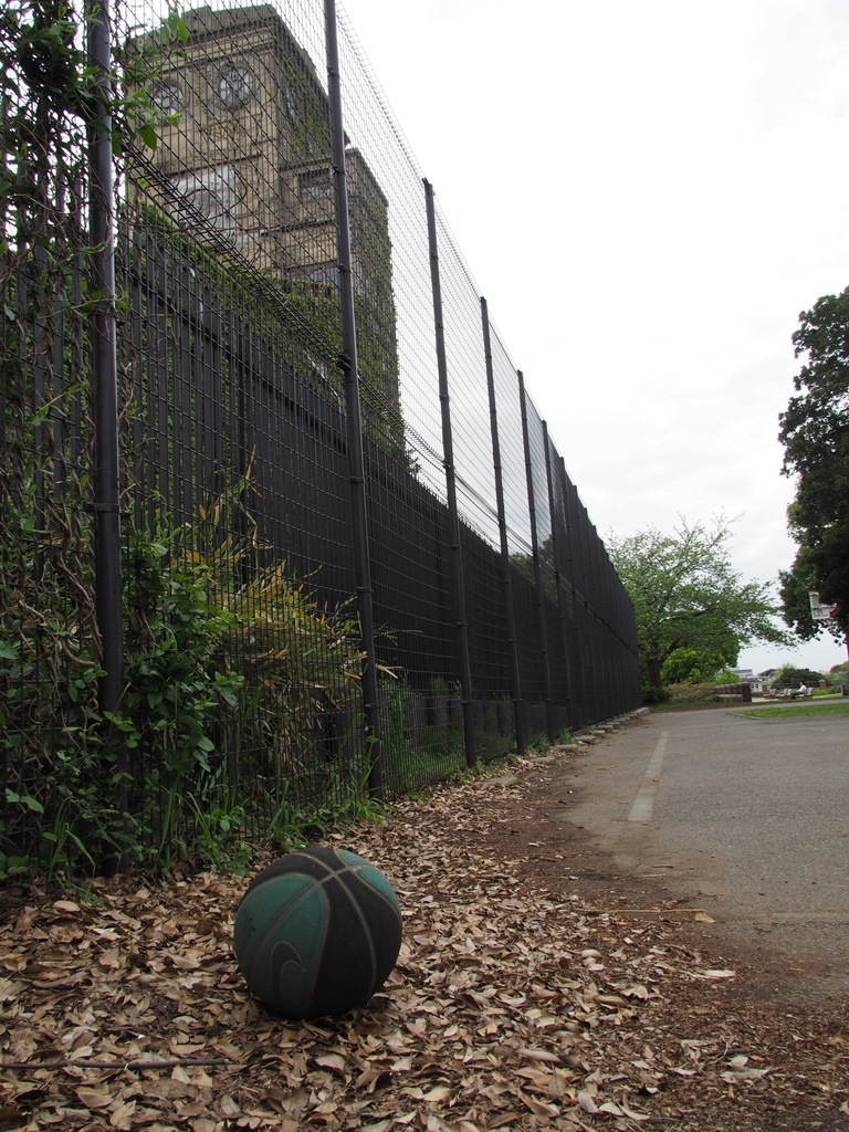 【無料配布】廃墟「根岸競馬場」探訪記【廃墟写真集】