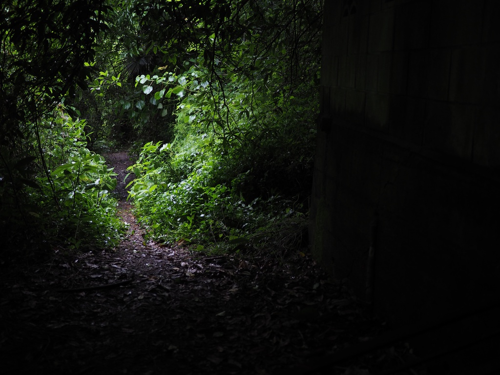 【無料配布】田浦廃村・田浦集落探訪記【廃墟写真集】