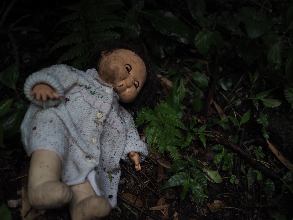 【無料配布】田浦廃村・田浦集落探訪記【廃墟写真集】