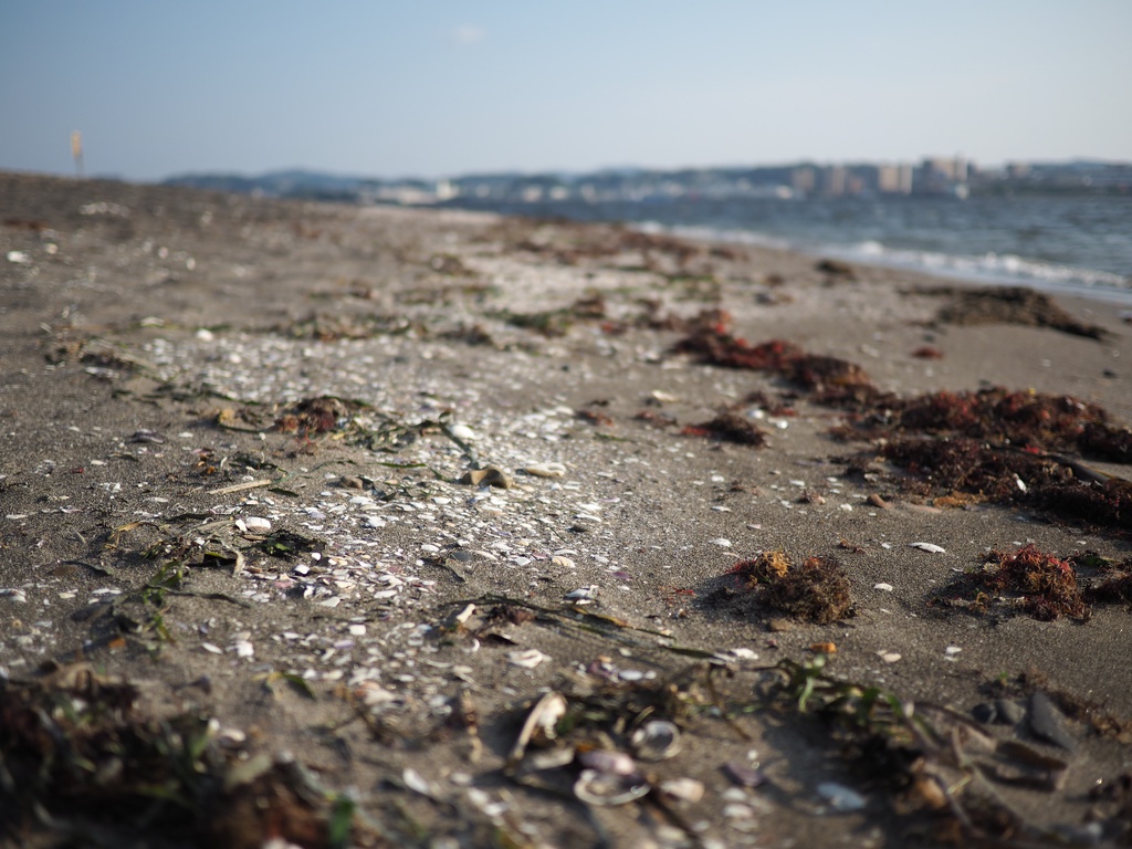 【無料配布】無人島「猿島」探訪記【廃墟写真集】