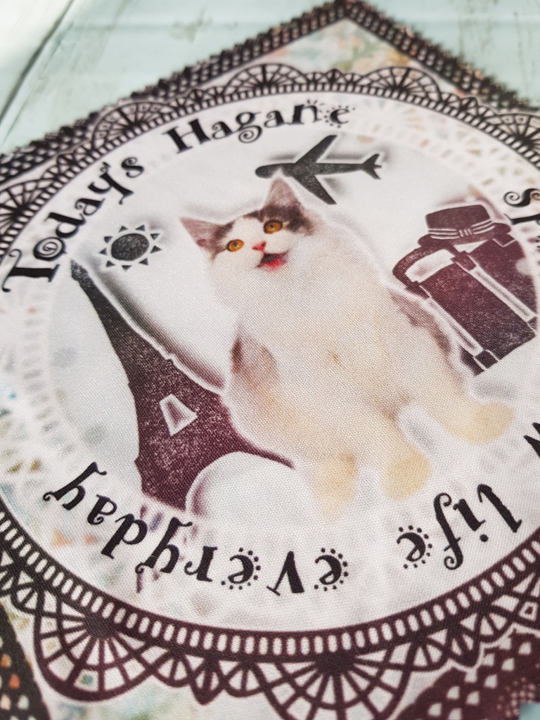 【メガネ拭き】はがね先生マイクロファイバーメガネ拭き