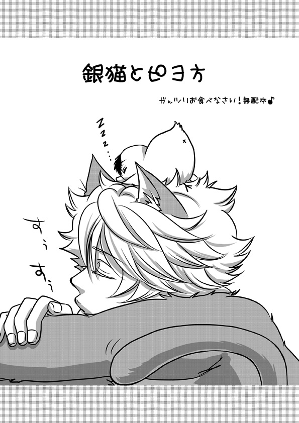 銀猫とピヨ方