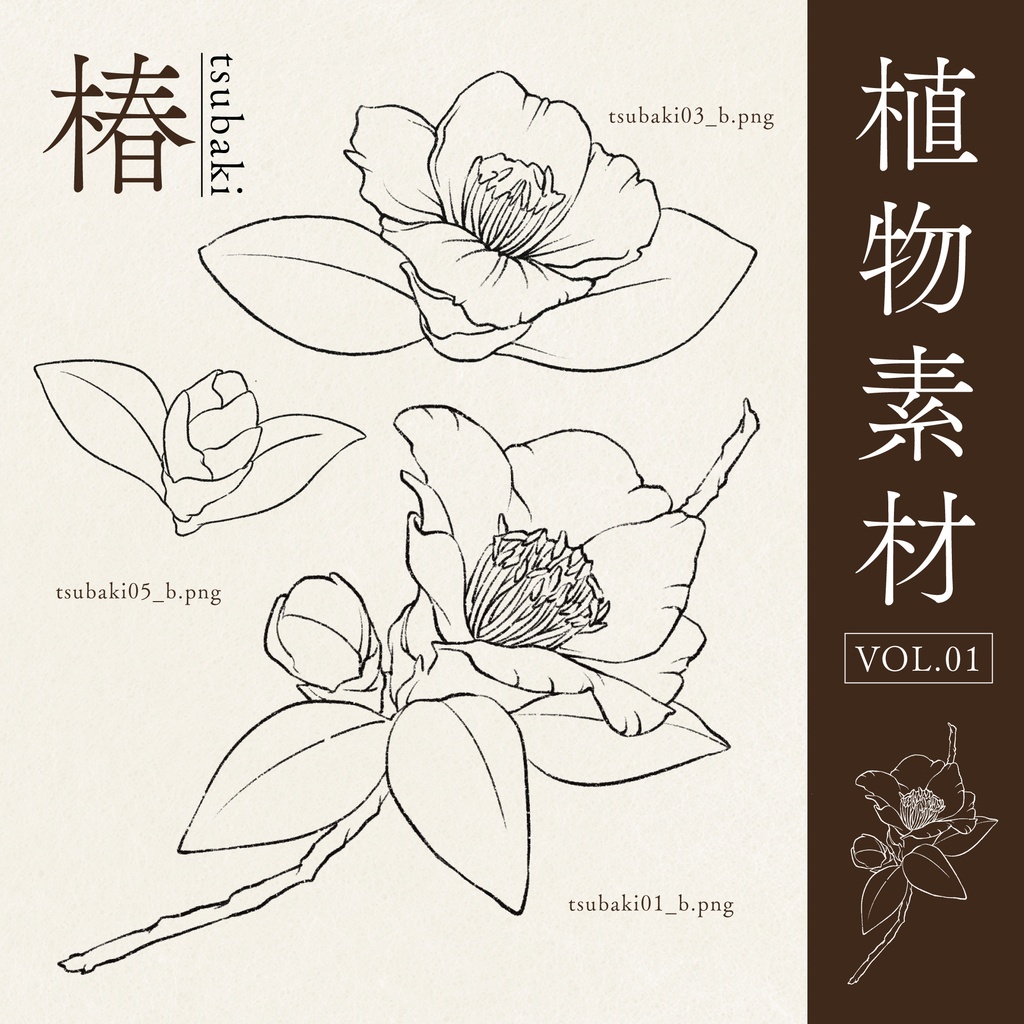【素材Vol.01】手描き椿[無料版/有料版]