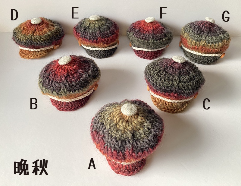 キャスケット(晩秋)