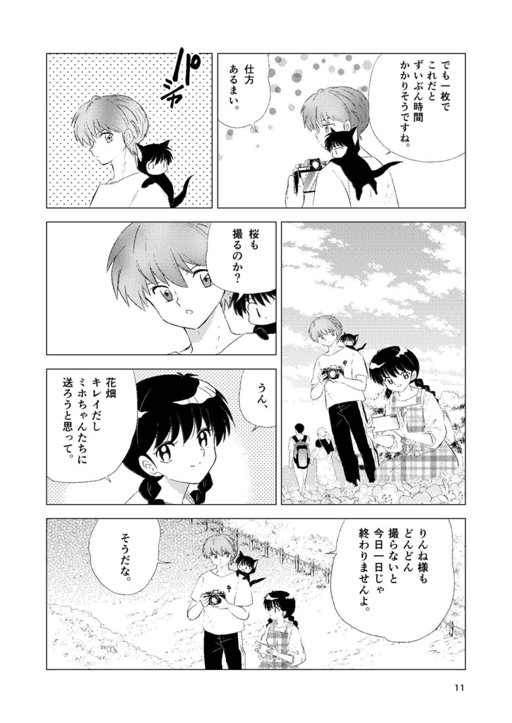 Nemophila blue photograph