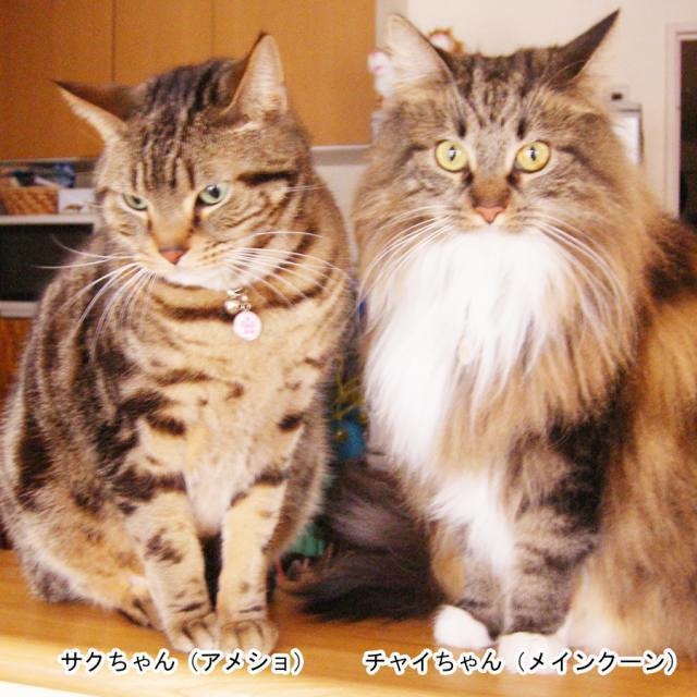 ワンちゃんネコちゃんのお守りイラスト【額入り】