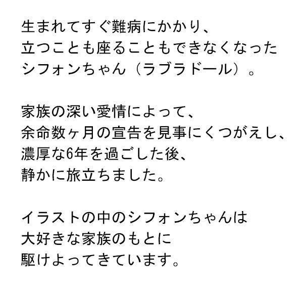 ワンちゃんネコちゃんのお守りイラスト【額入り】