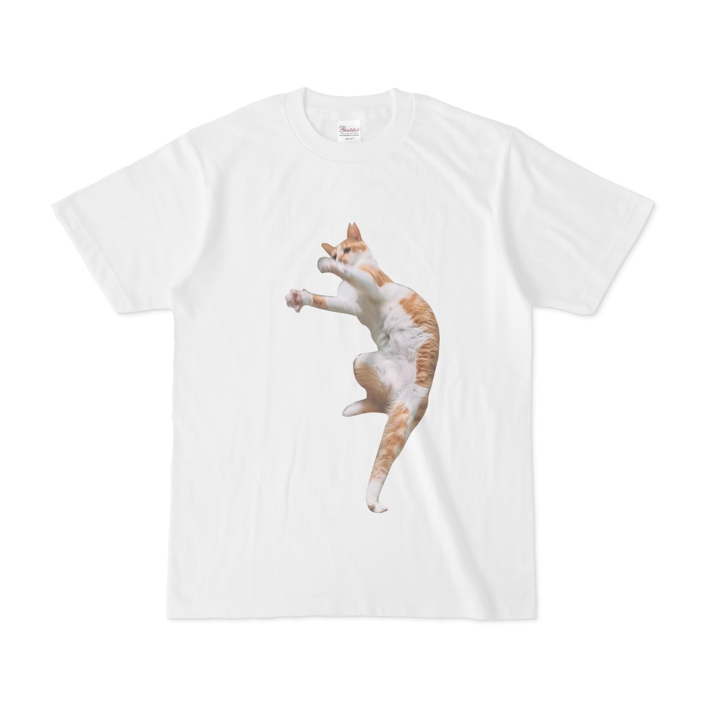 どりゃぁ! 伸びる左足 猫Tシャツ