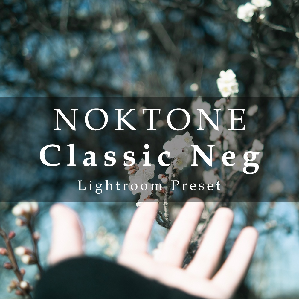 クラシックネガ再現プリセット- NOKTONE Classic Neg - Lightroom プリセット