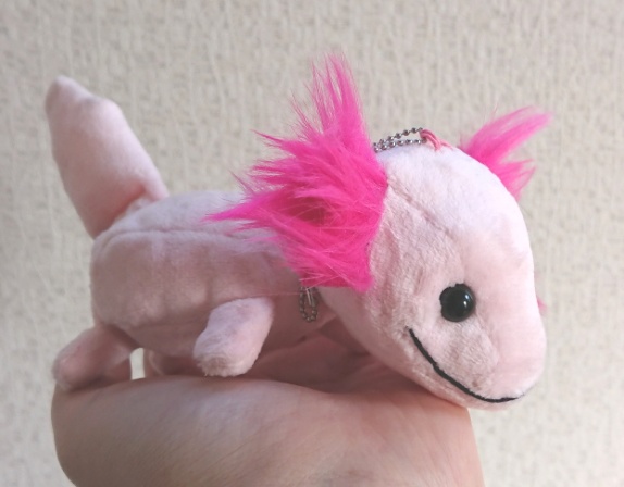 ウーパールーパーぬいぐるみキーホルダー