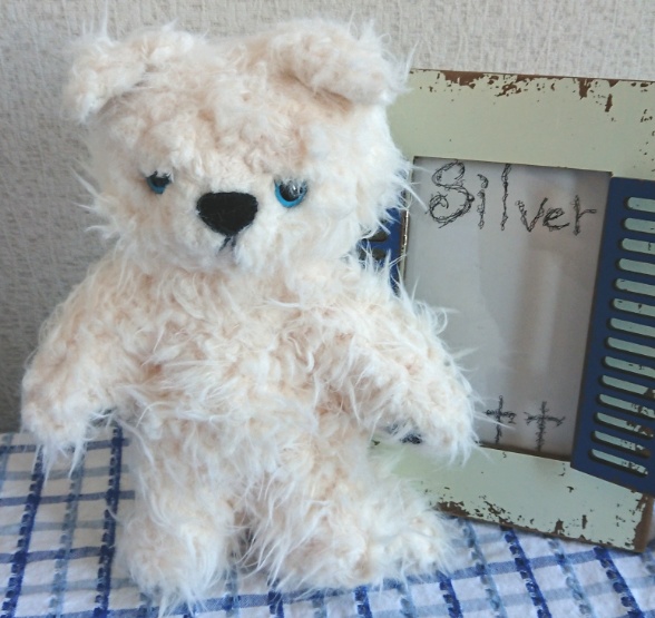 【おうちが決まりました】一点物のぶちゃいく猫ちゃん