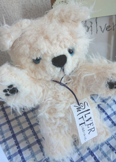 【おうちが決まりました】一点物のぶちゃいく猫ちゃん