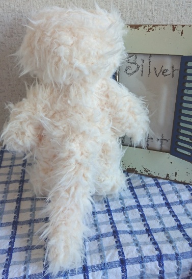 【おうちが決まりました】一点物のぶちゃいく猫ちゃん