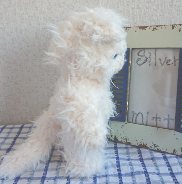 【おうちが決まりました】一点物のぶちゃいく猫ちゃん