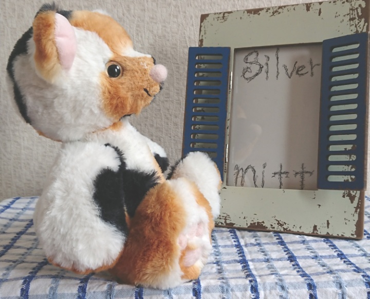 【おうちが決まりました】三毛柄のテディベアくん