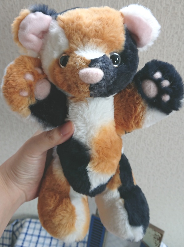 【おうちが決まりました】三毛柄のテディベアくん