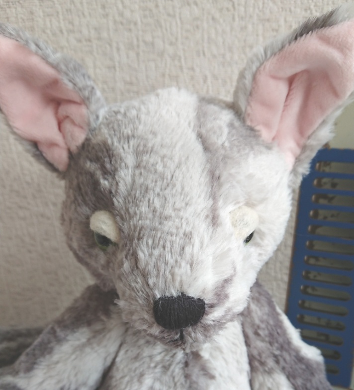 おうちが決まりました 眠たげまぶたのオオカミさん Silver Mitt Booth