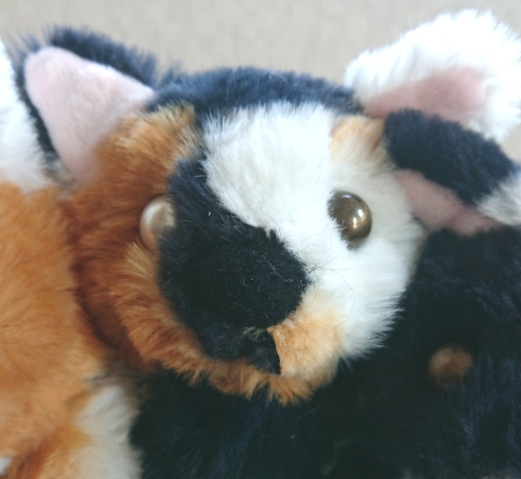 【おうちが決まりました】三毛柄ケルベロスのぬいぐるみ