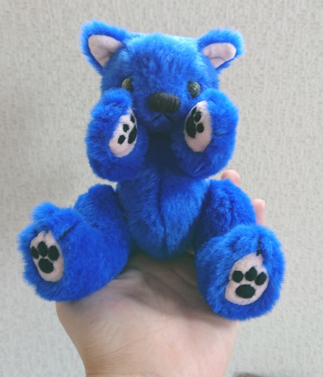 【おうちが決まりました】ずんぐりむっくり青猫ちゃん