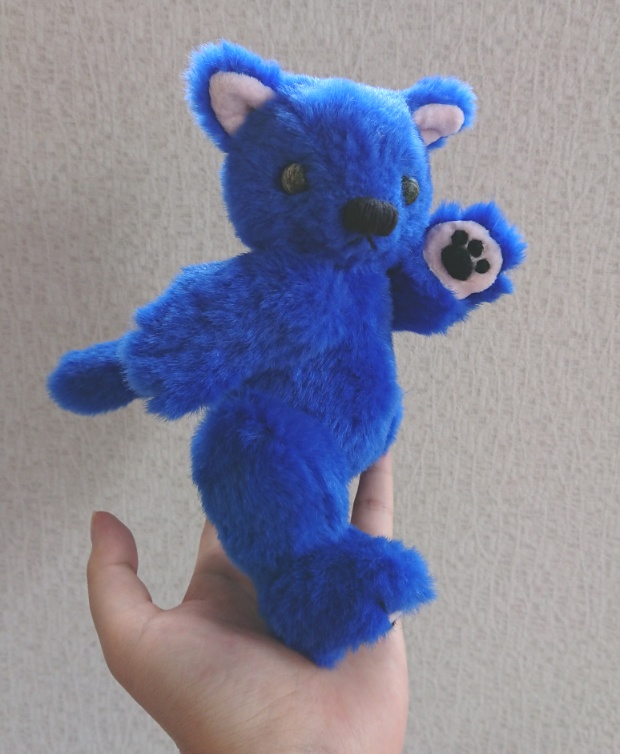 【おうちが決まりました】ずんぐりむっくり青猫ちゃん