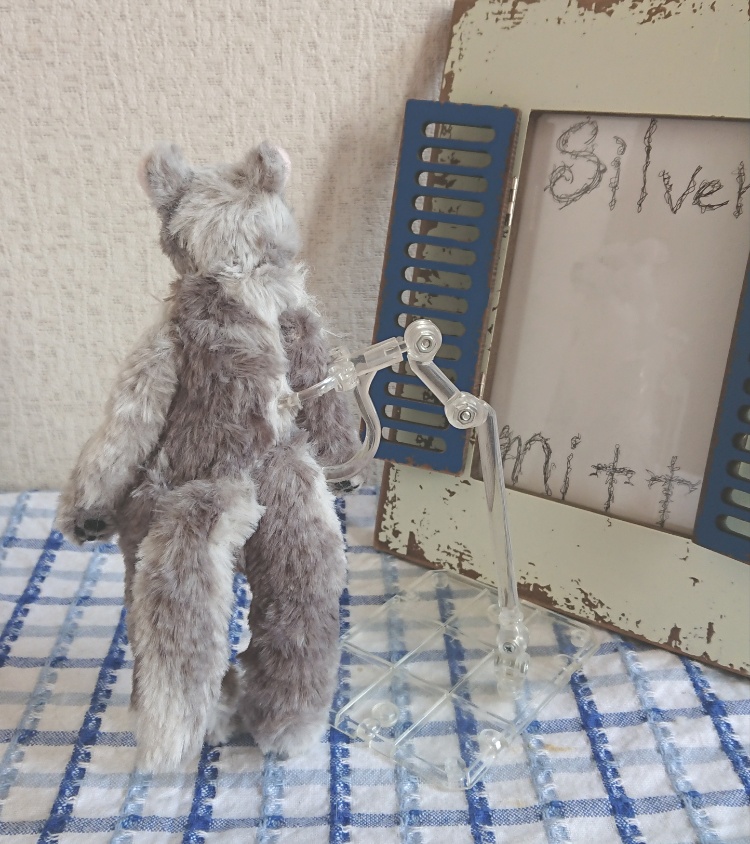 【おうちが決まりました】●どるぐるみシリーズ1●クールな狼さん