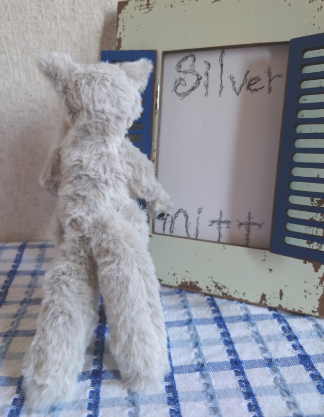 【おうちが決まりました】●どるぐるみシリーズ4●2本尻尾のわんわん【1点物】