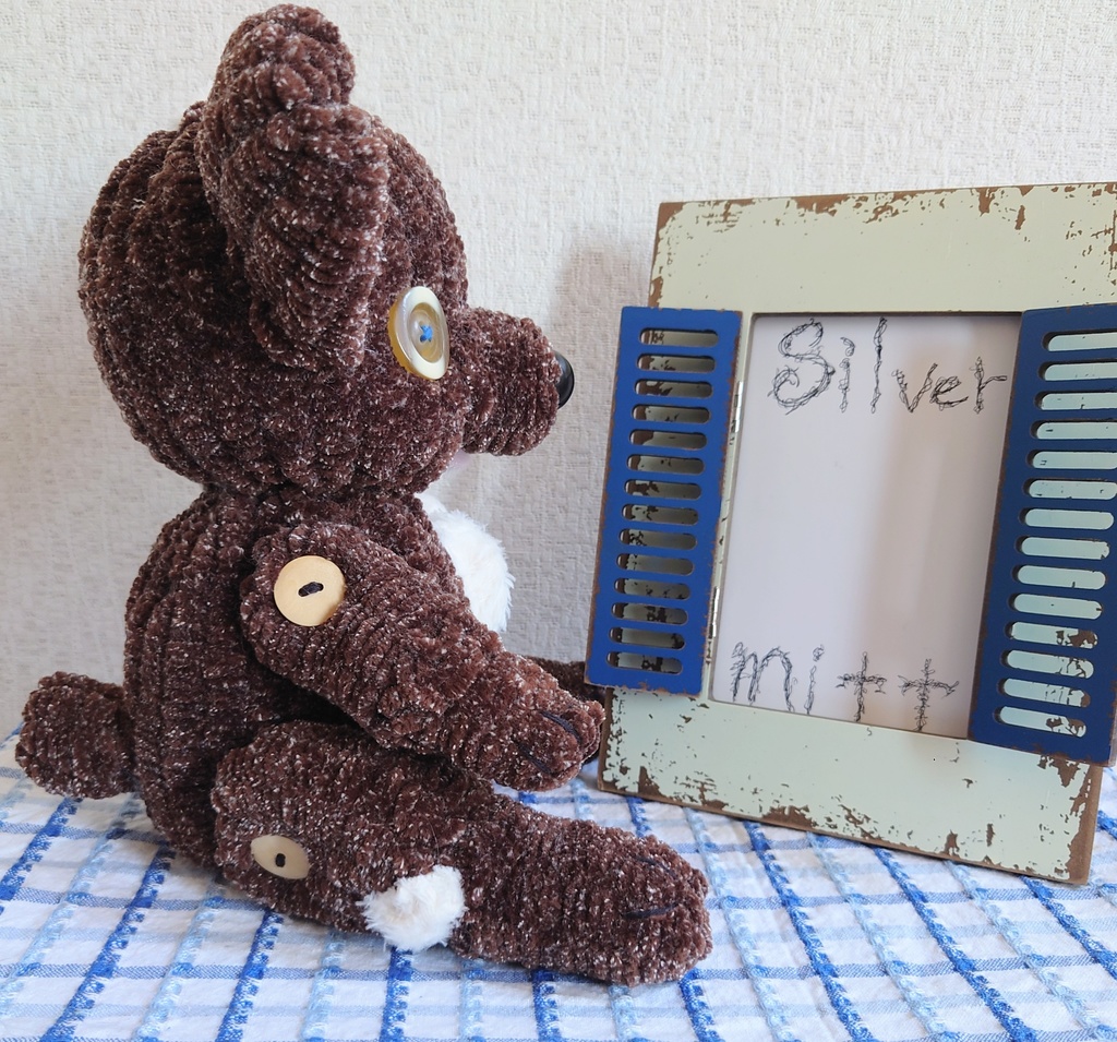 【おうちが決まりました】ダークな世界のあみぐるみクマさん