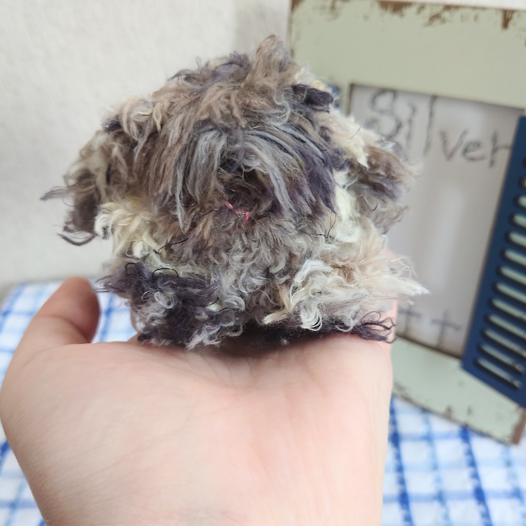 【おうちが決まりました】あみぐるみの目隠れモルモット