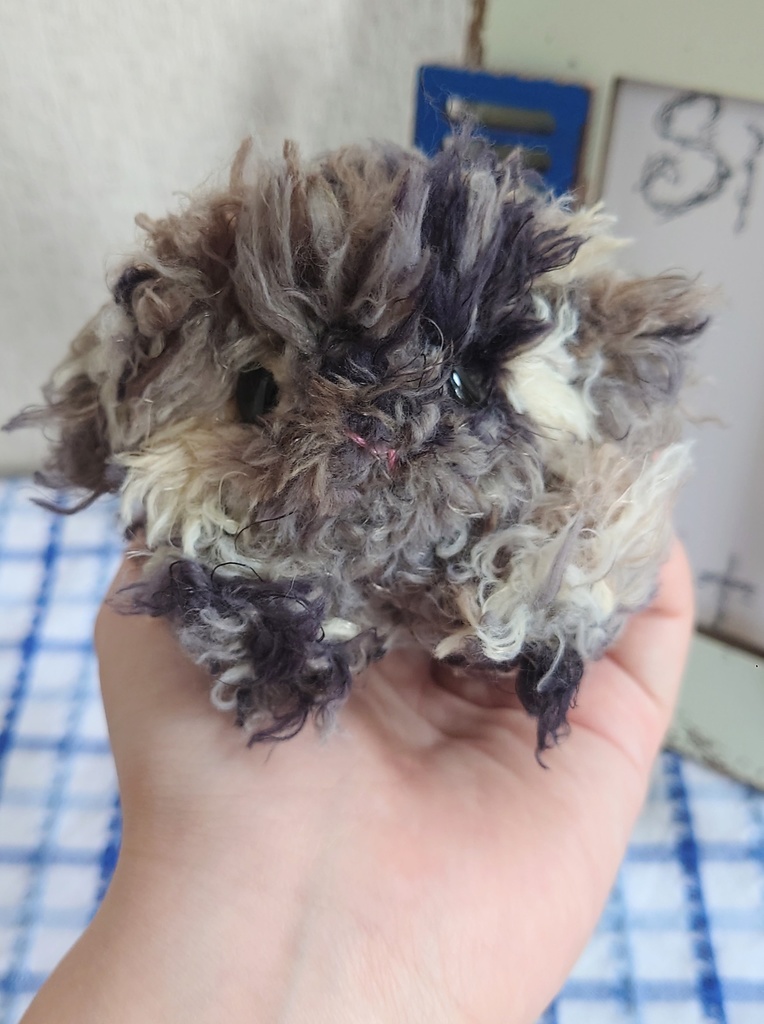 【おうちが決まりました】あみぐるみの目隠れモルモット