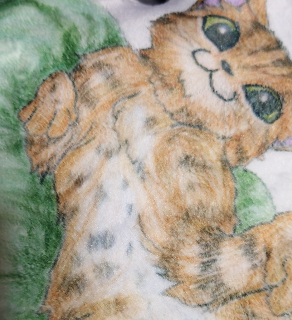 ベンガル猫のふっかふかくっしょん