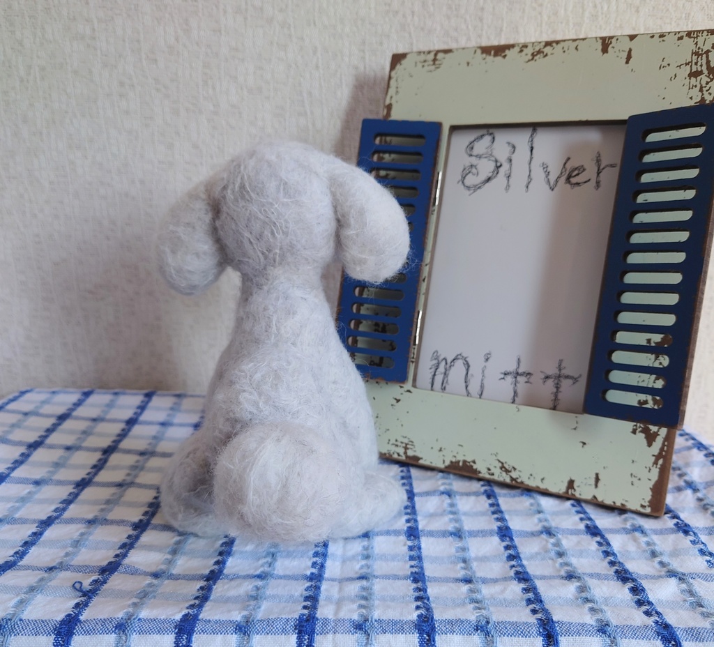 一点物のトイプードル